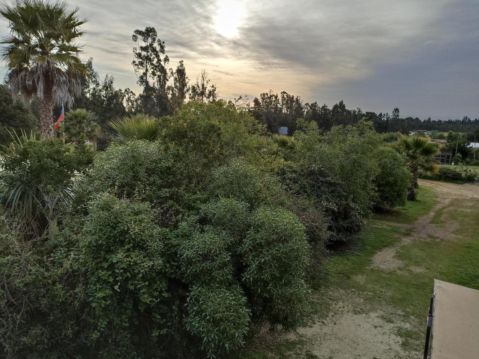 El Algarrobo Eksteriør billede