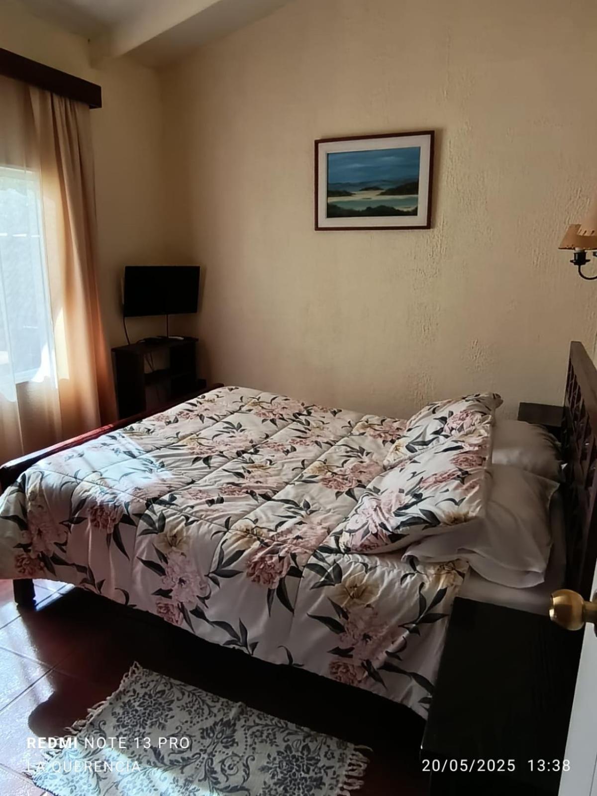 El Algarrobo Værelse billede