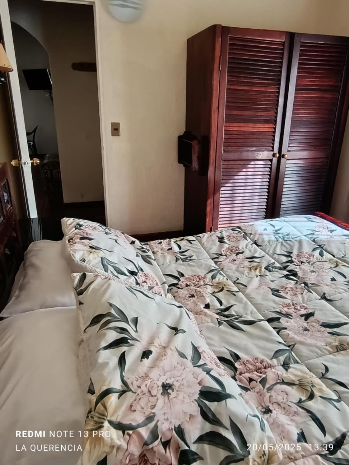 El Algarrobo Værelse billede