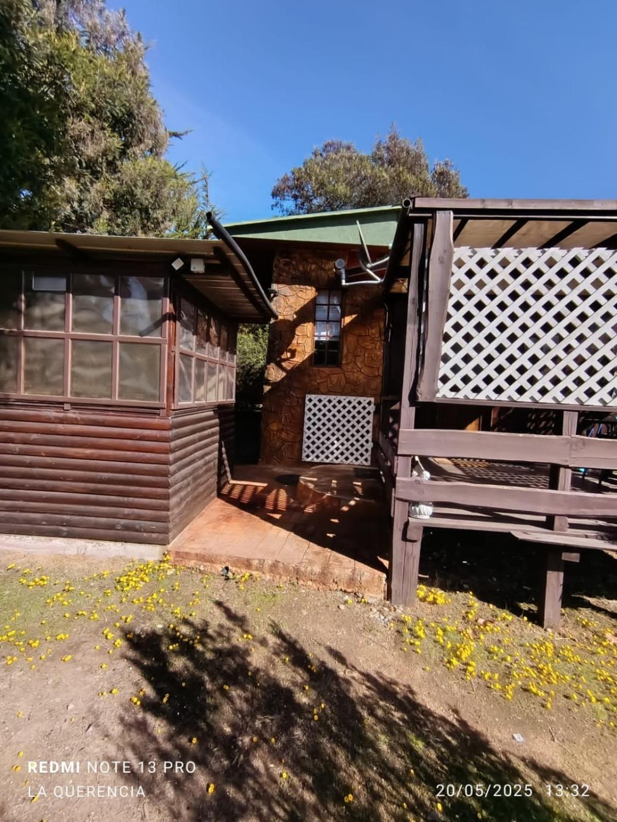 El Algarrobo Værelse billede
