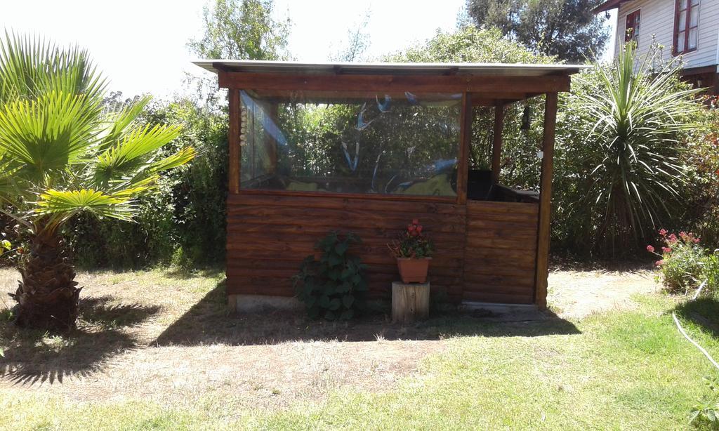 El Algarrobo Eksteriør billede