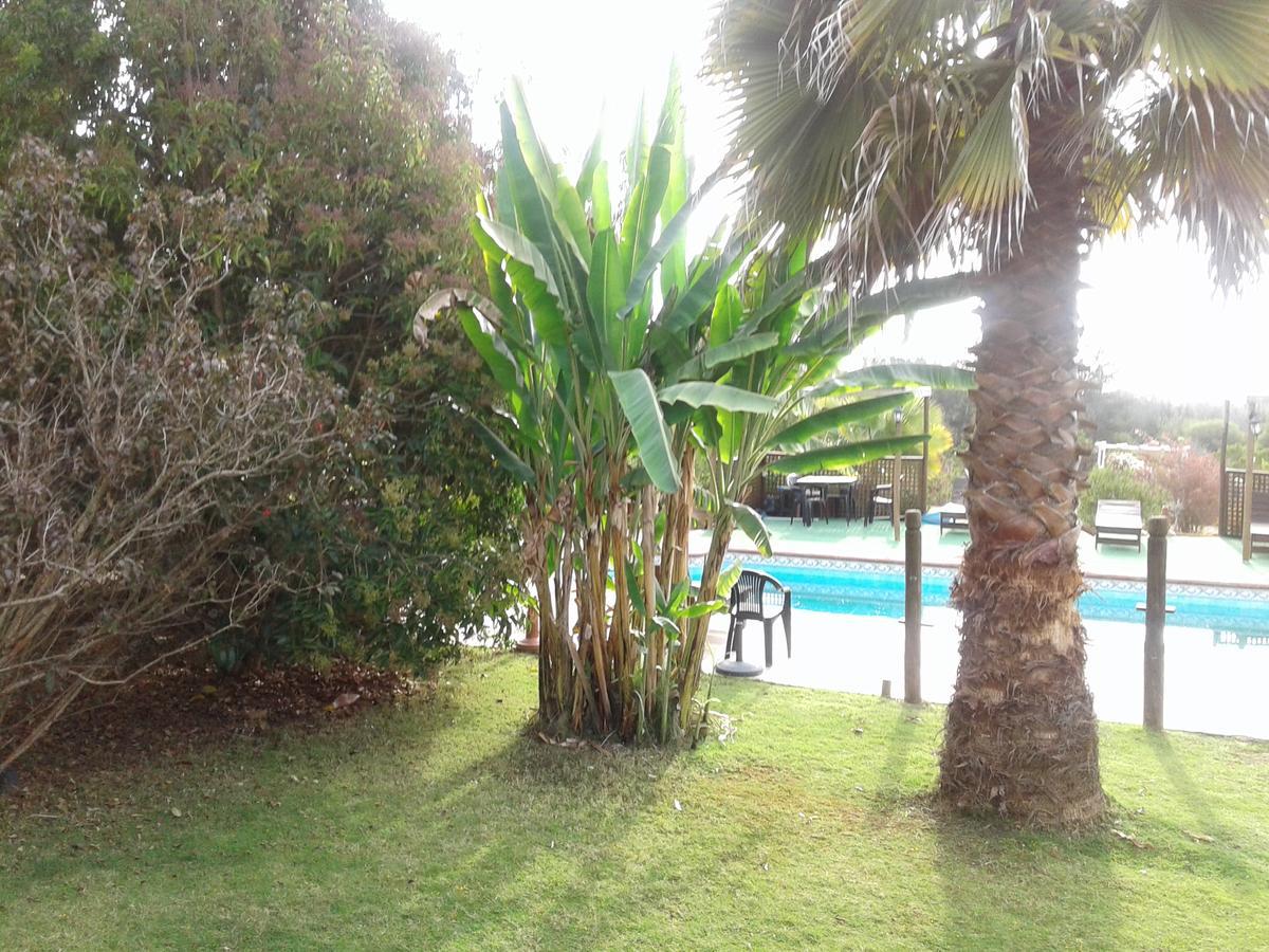 El Algarrobo Eksteriør billede
